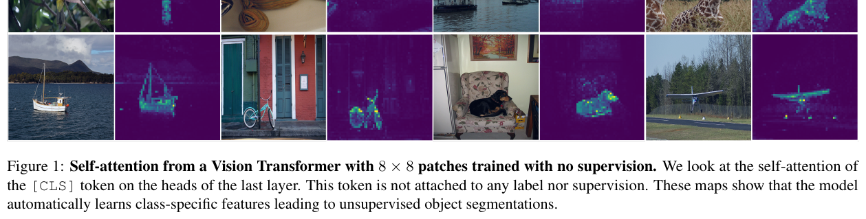 Emerging Properties in Self-Supervised Vision Transformers