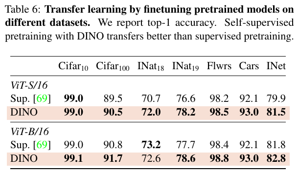 DINO-10 DINO-10