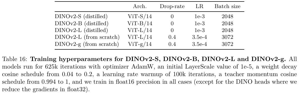 DINOv2-25 DINOv2-25