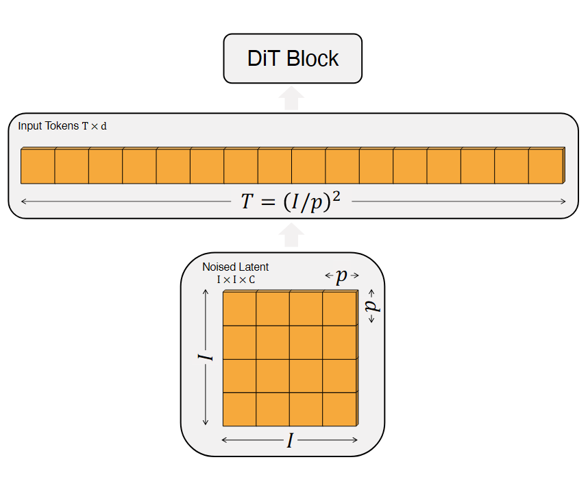 DiT-1